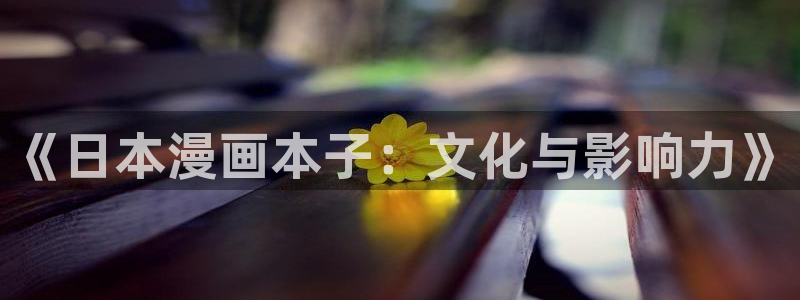 羞羞漫画19：《日本漫画本子：文化与影响力》
